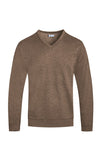 Work From Home Cozy V Neck Sweater (Brown)